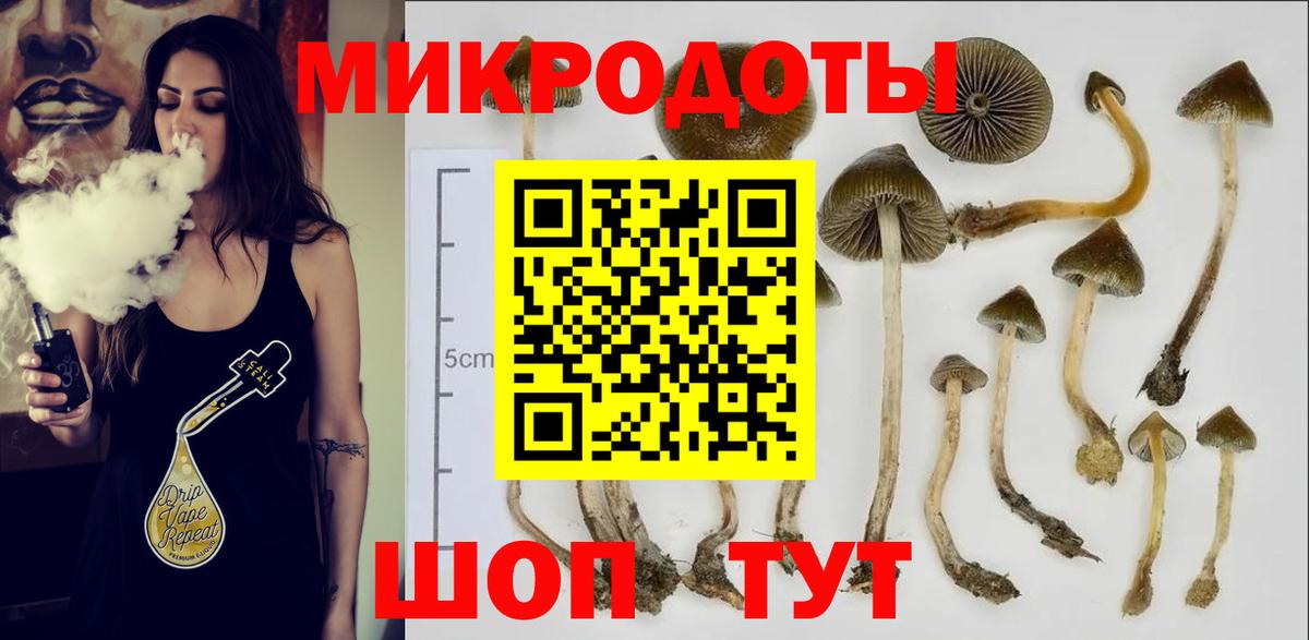 Галлюциногенные грибы прущие грибы Шебекино